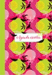 Agendas escolar perpetua 2018 - Pajaros