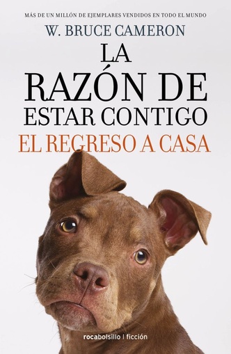 RAZON DE ESTAR CONTIGO. EL REGRESO A CAS
